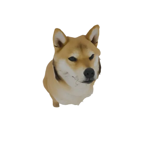 3D model of a Shiba Inu dog's head bust, featuring alert eyes and detailed fur texture, set against a black background.