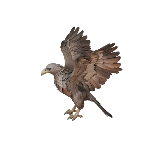 Vulture 3D Model for Blender - PBR Asset with Textures | PBR