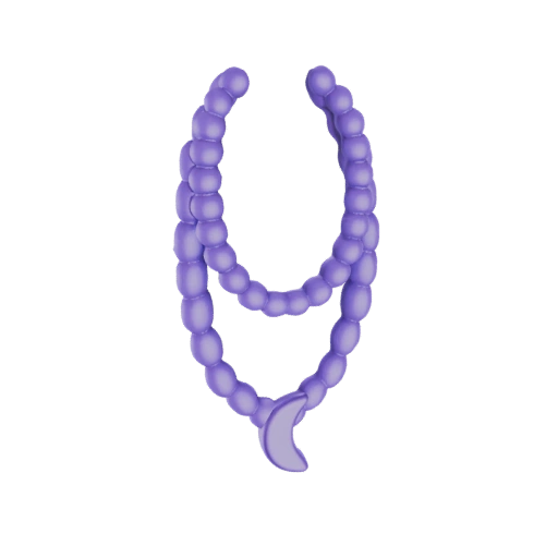Purple Beaded Necklace with Moon Pendant