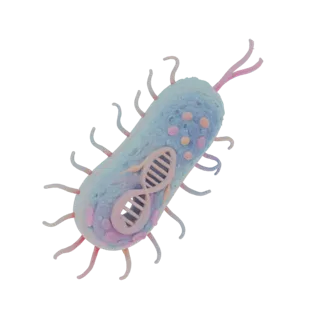 3D model of a bacterium with a visible DNA helix, pastel-colored internal structures, and pink flagella, set against a white