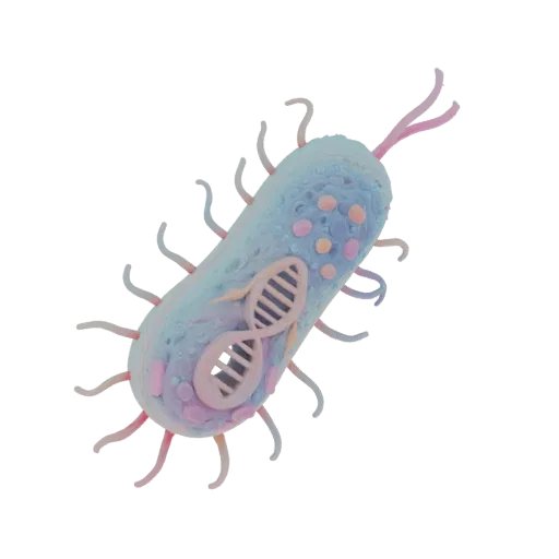 3D model of a bacterium with a visible DNA helix, pastel-colored internal structures, and pink flagella, set against a white