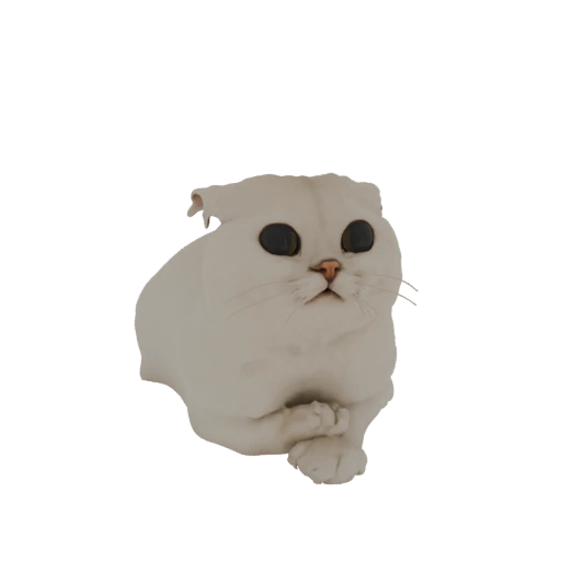 Chat Scottish Fold Blanc Modèle 3D