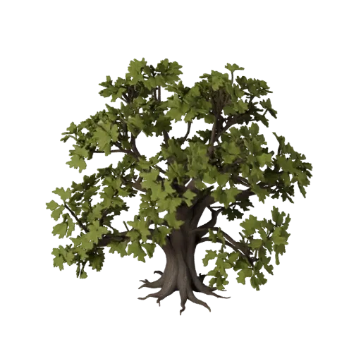 Oak Tree Cluster Unreal Engine 3D model, top-down viewport view, showing leaf clusters, layered vegetation clusters.