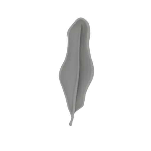 Ein 3D-Rendering einer glatten, grauen, abstrakten Blatt-Skulptur mit eleganten Kurven, präsentiert auf weißem Hintergrund.