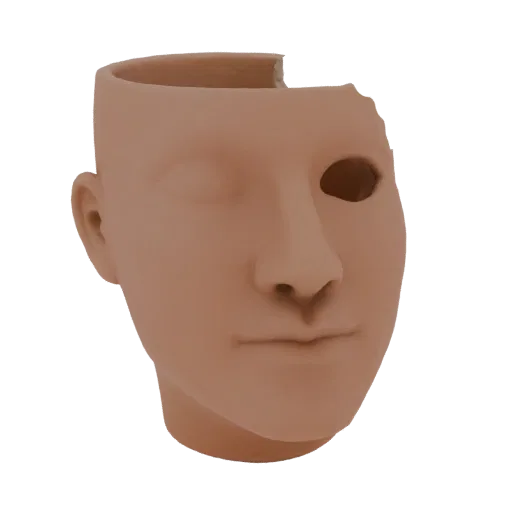 3D model of a head-shaped planter with an uneven break on the forehead and part of the eye, rendered in a realistic style.