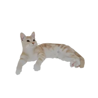 A 3D model of a ginger tabby cat lying down, with orange stripes and a relaxed expression.