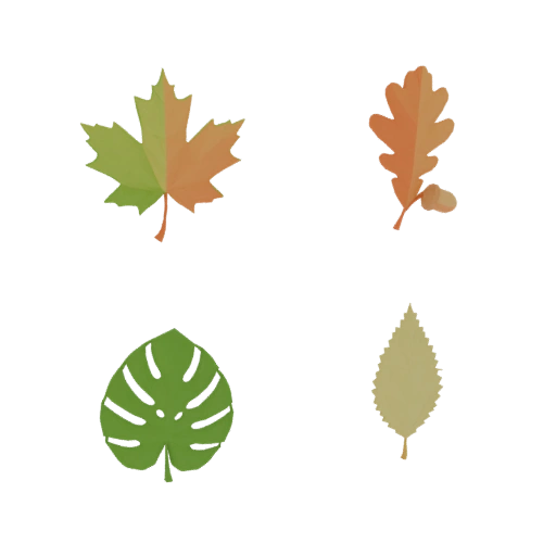Autumn Leaf Collection 3D Models