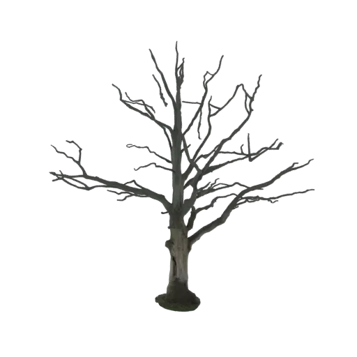 3D model of a bare tree with a thick, textured trunk and many intricate, dark branches against a black background.