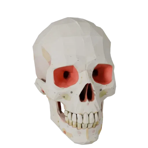 Skull Skeleton Low Poly 3D model, game viewport three-quarter view, showing bone surfaces, skeletal landmarks.