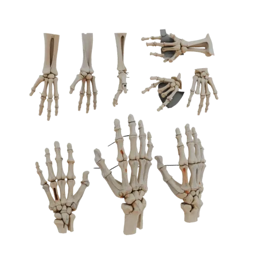 Full Body Hand Bones Printable 3D model, isometric STL render, showing bone surfaces, skeletal landmarks.