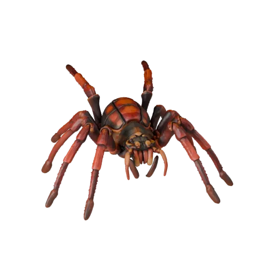 Tarantula 3D Model for Blender - PBR Asset with Textures | PBR