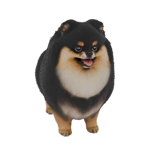 3D model of a black and tan Pomeranian dog with fluffy fur, alert eyes, and its tongue out, standing on a white background.