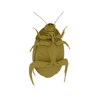 3D model of a cockroach viewed from its underside, showing detailed legs, antennae, and body segments.