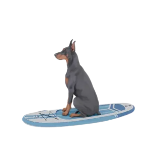 Modelo 3D de um cão Dobermann sentado alerta em uma prancha de paddle azul e branca, isolado em um fundo branco.