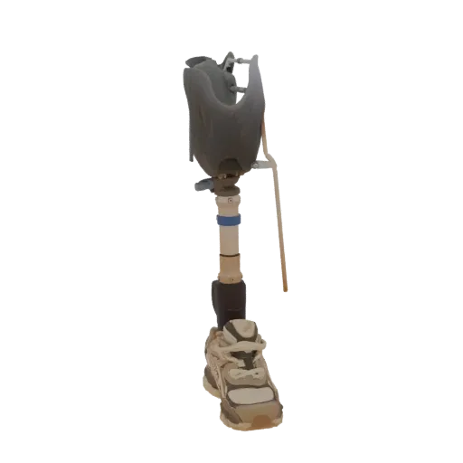 3D model of a prosthetic leg with a detailed sneaker attached, showcasing its components.