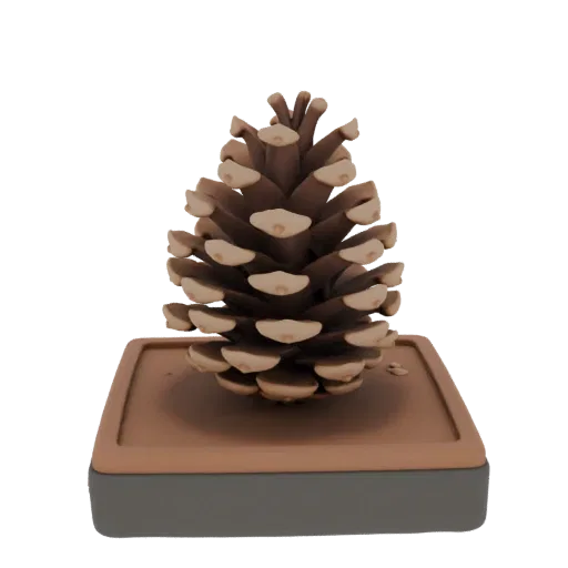 3D model of a spruce cone on a square stand, brown, with detailed texture