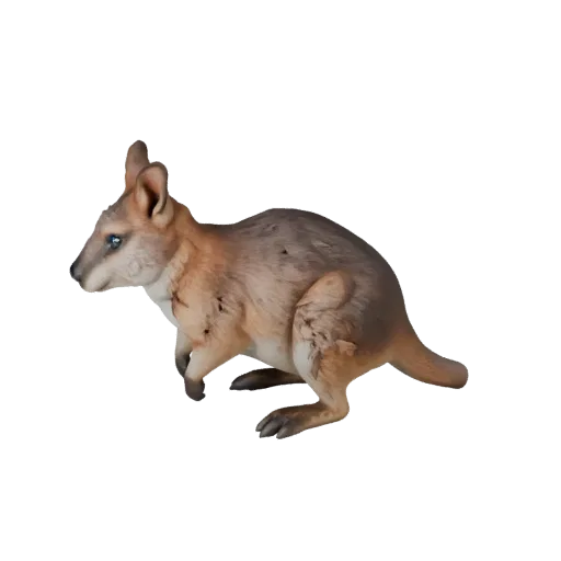 High Poly Wallaby 3D Model - Detailed STL Asset for Printing