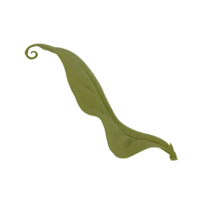 3D model of a stylized green leaf with a prominent, spiraling tip, set against a white background.