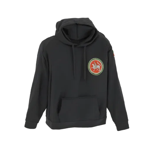 3D model of a dark gray hoodie with a circular emblem on the chest, displayed against a white background.