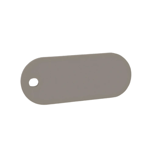 Oval Tag with Hole