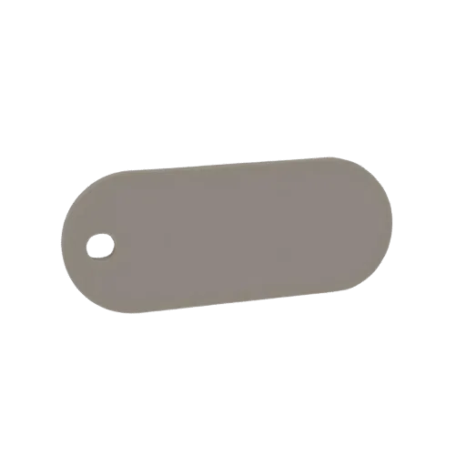 3D render of a plain grey oval tag with a single hole on the left side, isolated on a white background.