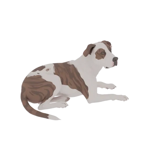 3D model of a brindle and white Pitbull dog lying down with its head up and looking to the side.