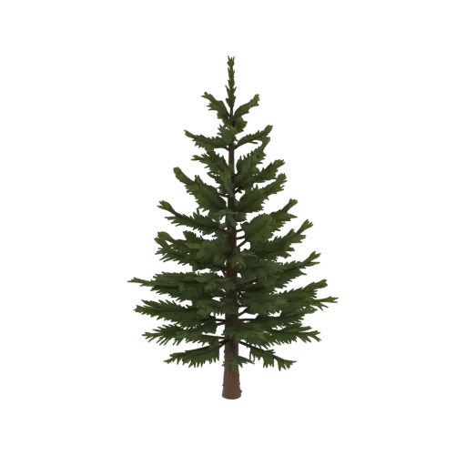 3D spruce tree model with realistic bark texture, standing on a black background