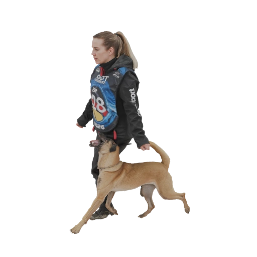 Belgian Malinois Dog with Handler 3D Model