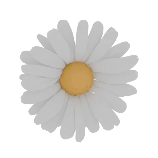A 3D render of a stylized daisy flower with a bright yellow center and white petals, set against a white background.