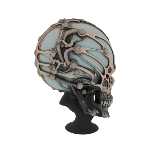 A 3D render of a cybernetic skull with intricate, metallic bio-mechanical filigree and translucent cranial panels against a black background.