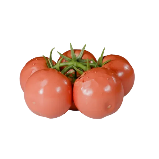 Chopped Tomato Cluster 3D model, three-quarter front view, Unity viewport, showing leaf veins, form detail.