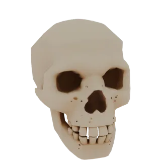 Modèle 3D de crâne stylisé low-poly avec facettes géométriques visibles et couleur os clair.