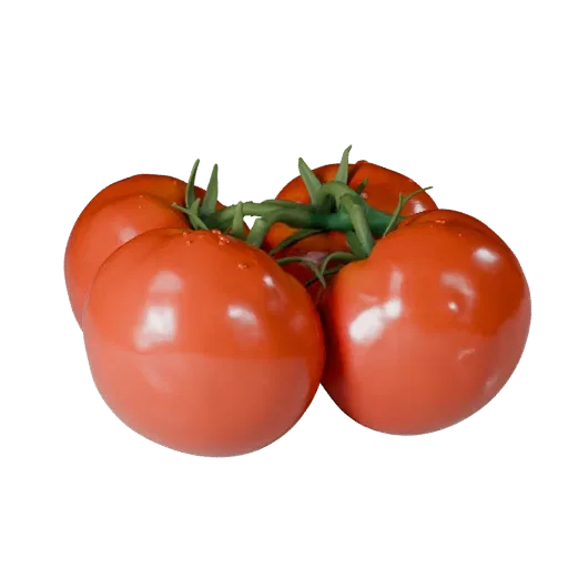 Market Tomato Cluster Realistic 3D model, three-quarter studio render, showing leaf veins, clear vegetable silhouettes.