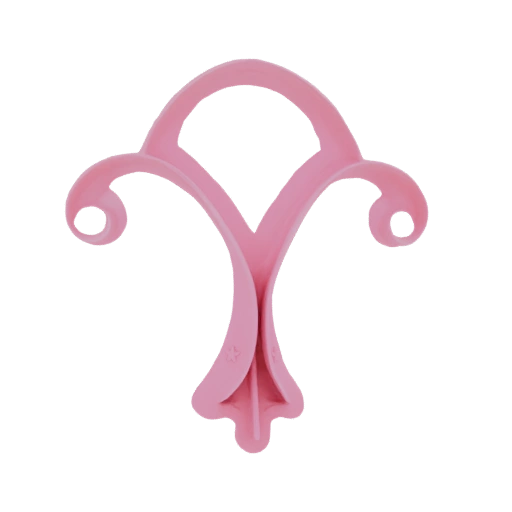 Pink Uterine Model