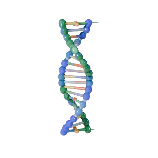 Crystal DNA Helix Stylized 3D model, stylized isometric render, showing colored spheres, molecule layout.