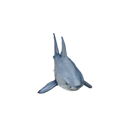 Modelo 3D realista de tubarão-branco, render de vida selvagem em vista lateral, asset de animal pronto para animação com queb