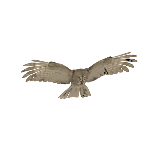 Great Grey Owl in Flight 3D Model