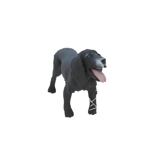 Modelo 3D de um cão de caça preto com a língua de fora e uma bandagem branca enrolada na sua pata dianteira, sobre um fundo b