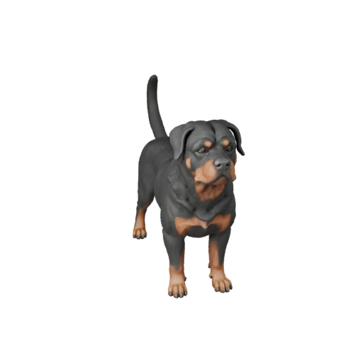 Perro Rottweiler de Alto Poligonaje 3D - Recurso STL Detallado para Impresión