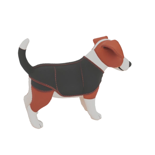 Jack Russell Terrier Dog with Jacket 3D Model