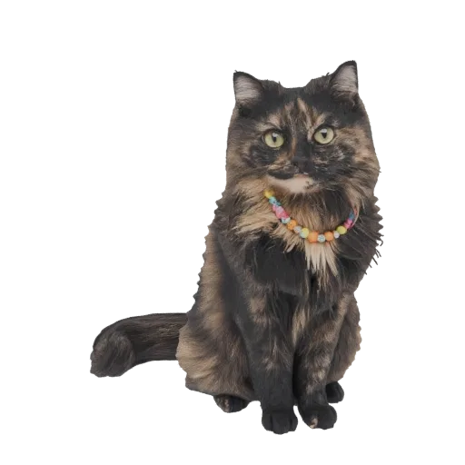 3D model of a fluffy tortoiseshell cat sitting and looking forward, wearing a colorful beaded necklace.