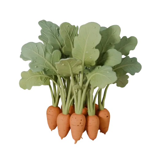 Market Carrot Bunch Product Viz 3D model, three-quarter studio product render, showing leaf veins, form detail.