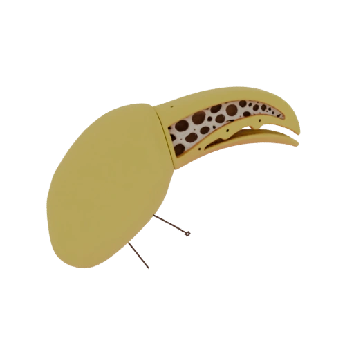 Toucan Beak Prosthetic with Cellular Structure