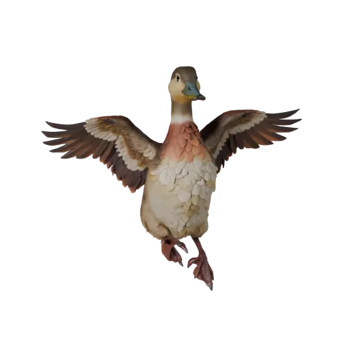 Duck 3D Model for Unity - Game Ready Asset, FBX | Royalty-Free