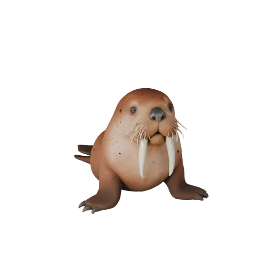Walrus 3D Model for Unity - Game Ready Asset, FBX | Royalty-Free