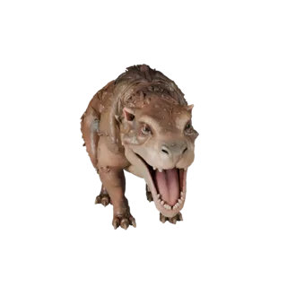 Modelo 3D de newt, vista lateral da câmera de gameplay, asset de animal pronto para Unity com linha da boca, articulação de m