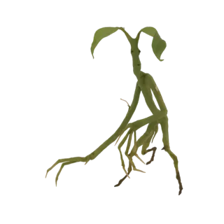 3D model of a green animated plant creature with a face, twig-like arms, and root-like legs.