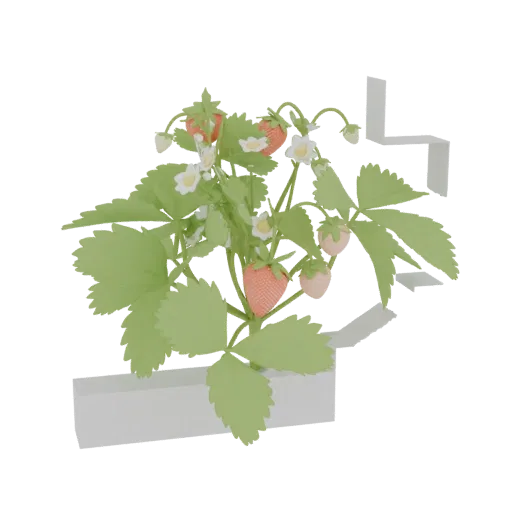 A 3D render of a stylized strawberry plant with red fruits, pink unripe berries, white flowers, and green leaves, set against