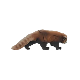 3D model of a red panda walking with its tail extended, showcasing its reddish-brown fur and distinctive markings.