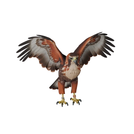 Rotmilan 3D Modell für Unity - Spielfertiges Asset, FBX